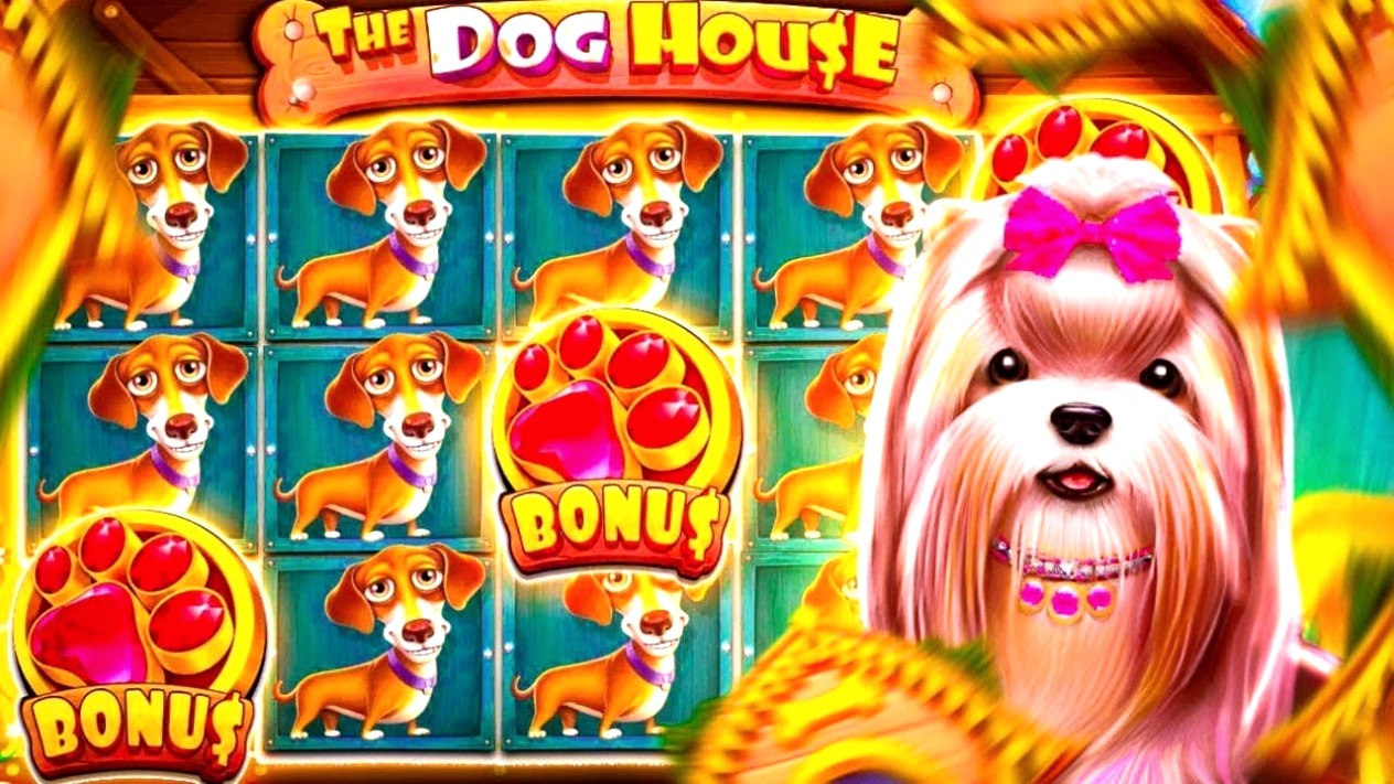 The Dog House